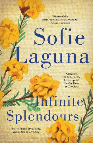Cover image for Infinite Splendours