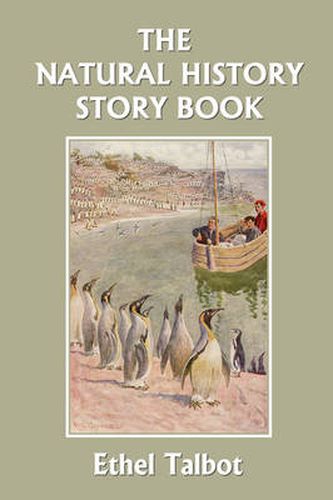 Cover image for The Natural History Story Book (Yesterday's Classics)