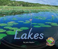 Cover image for Lakes