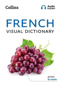 Cover image for French Visual Dictionary: A Photo Guide to Everyday Words and Phrases in French