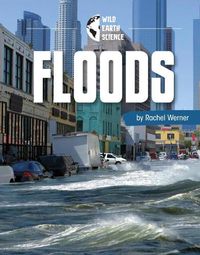 Cover image for Floods