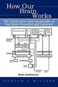 Cover image for How Our Brain Works