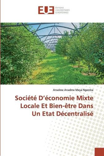 Societe D'economie Mixte Locale Et Bien-etre Dans Un Etat Decentralise