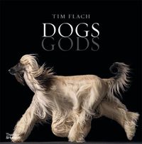 Cover image for Dogs Gods