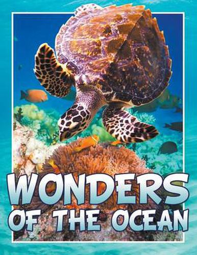 Cover image for Wonders of the Ocean