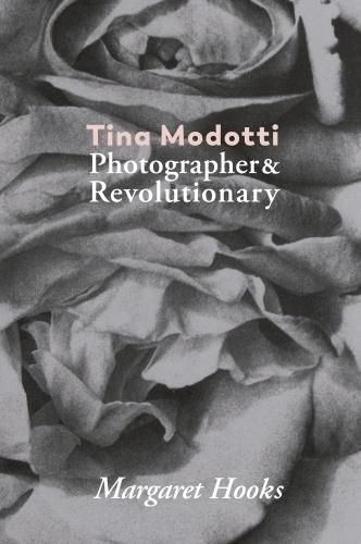 Cover image for Tina Modotti: Photographer and Revolutionary by Margaret Hooks