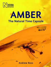Cover image for Amber: The Natural Time Capsule