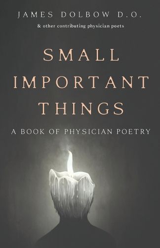 Cover image for Small Important Things