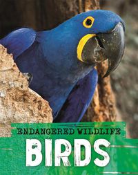 Cover image for Endangered Wildlife: Rescuing Birds