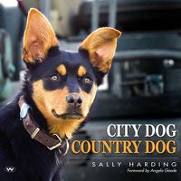 Cover image for City Dog Country Dog