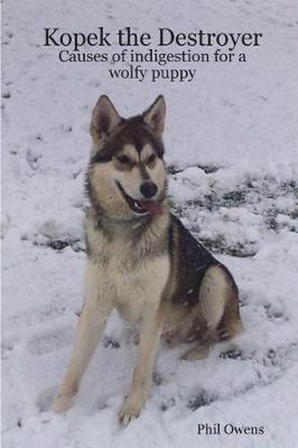 Cover image for Kopek the Destroyer