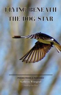 Cover image for Flying Beneath the Dog Star: Poems from a Pandemic