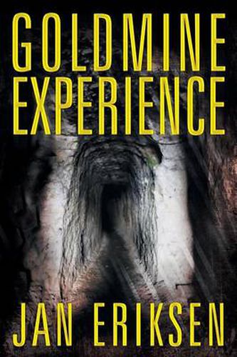 Cover image for Goldmine Experience