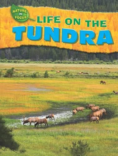 Cover image for Life on the Tundra