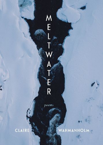 Cover image for Meltwater: Poems
