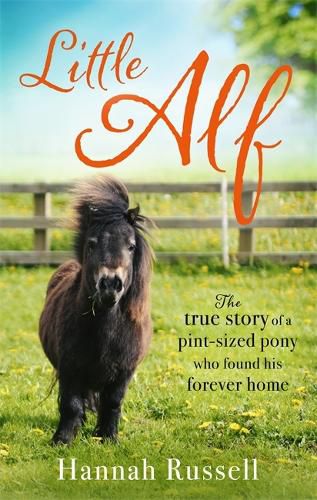 Cover image for Little Alf: The true story of a pint-sized pony who found his forever home