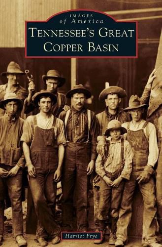 Cover image for Tennessee's Great Copper Basin