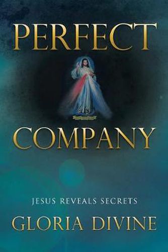 Cover image for Perfect Company