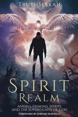 Cover image for Spirit Realm: Angels, Demons, Spirits and the Sovereignty of God (Foreword by Jordan Maxwell)