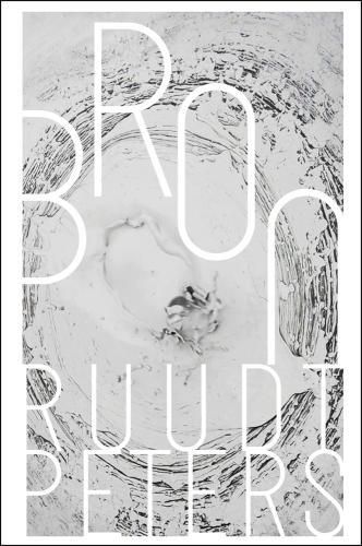 Cover image for Ruudt Peters: Source / Bron