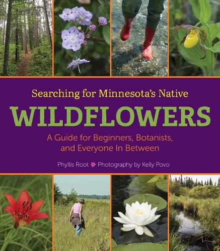 Cover image for Searching for Minnesota's Native Wildflowers: A Guide for Beginners, Botanists, and Everyone in Between