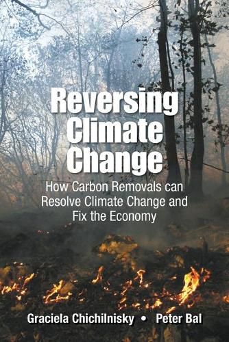 Cover image for Reversing Climate Change: How Carbon Removals Can Resolve Climate Change And Fix The Economy