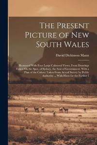 Cover image for The Present Picture of New South Wales