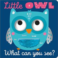 Cover image for Little Owl What Can You See?