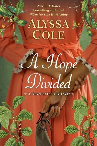 Cover image for A Hope Divided