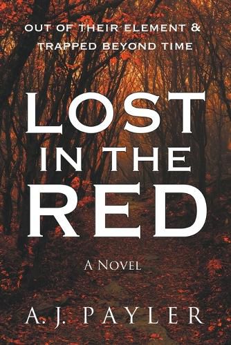 Cover image for Lost In the Red