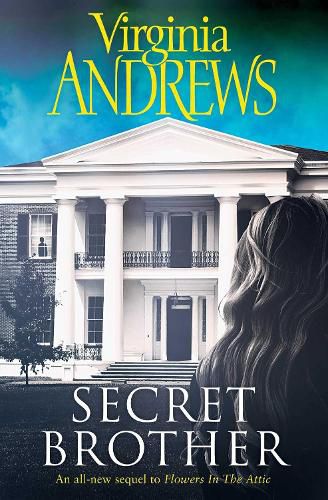 Cover image for Secret Brother