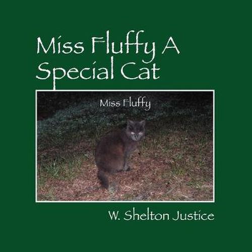 Cover image for Miss Fluffy A Special Cat