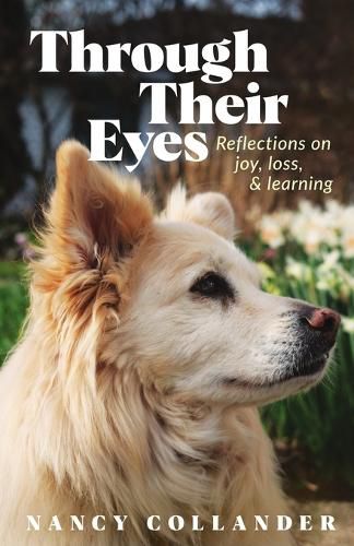 Cover image for Through Their Eyes