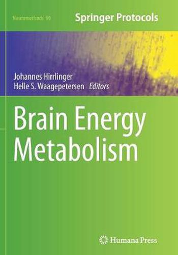 Cover image for Brain Energy Metabolism