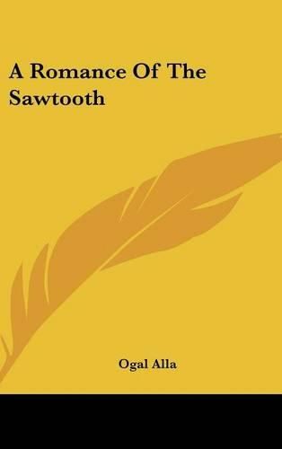 Cover image for A Romance of the Sawtooth