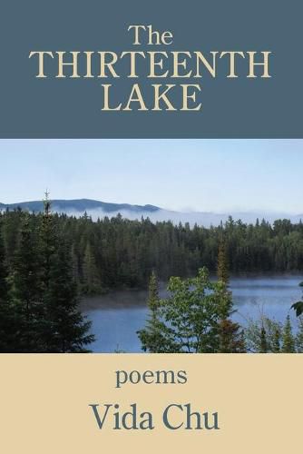 Cover image for The Thirteenth Lake