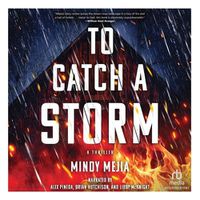 Cover image for To Catch a Storm
