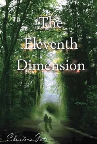 Cover image for The Eleventh Dimension