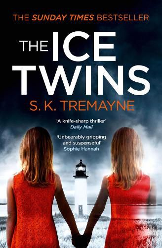 Cover image for The Ice Twins