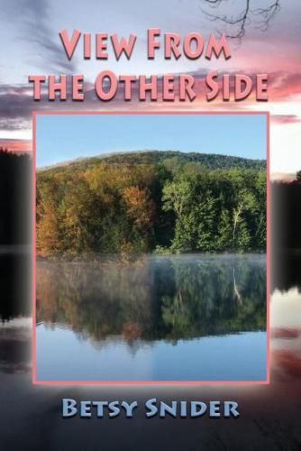 Cover image for View from the Other Side