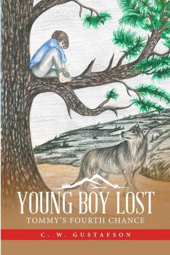 Cover image for Young Boy Lost