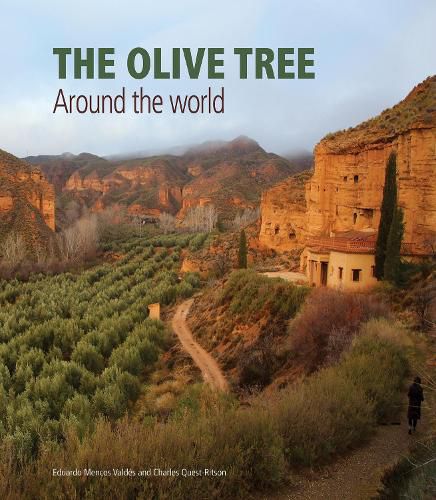 Cover image for The Olive Tree