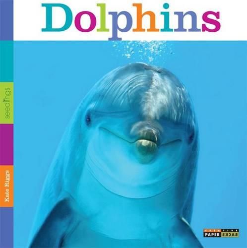 Seedlings: Dolphins