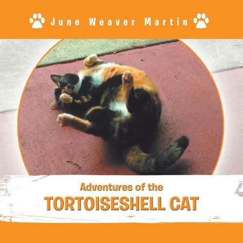 Cover image for Adventures of the Tortoiseshell Cat