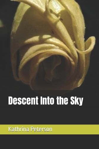 Cover image for Descent Into the Sky