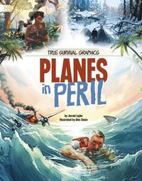 Cover image for Planes in Peril