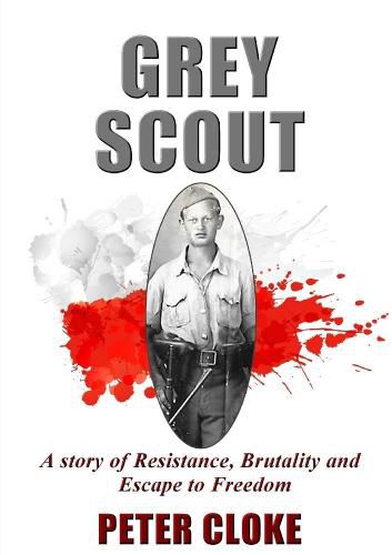 Cover image for Grey Scout