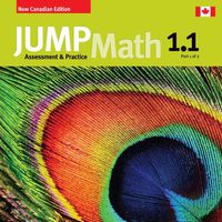 Cover image for Jump Math AP Book 1.1: New Canadian Edition