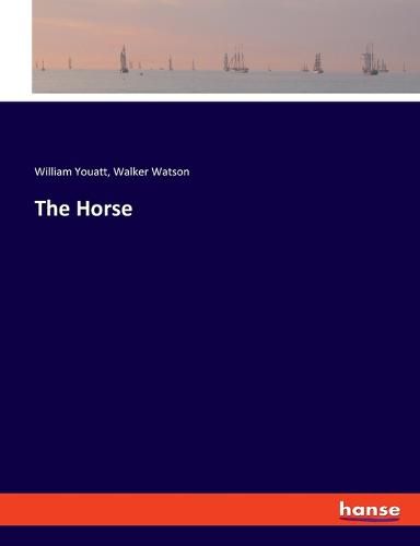 Cover image for The Horse