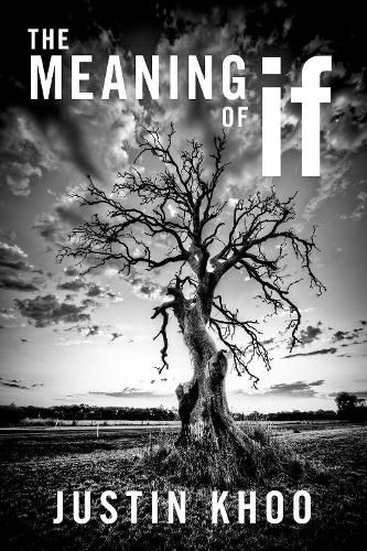 Cover image for The Meaning of If